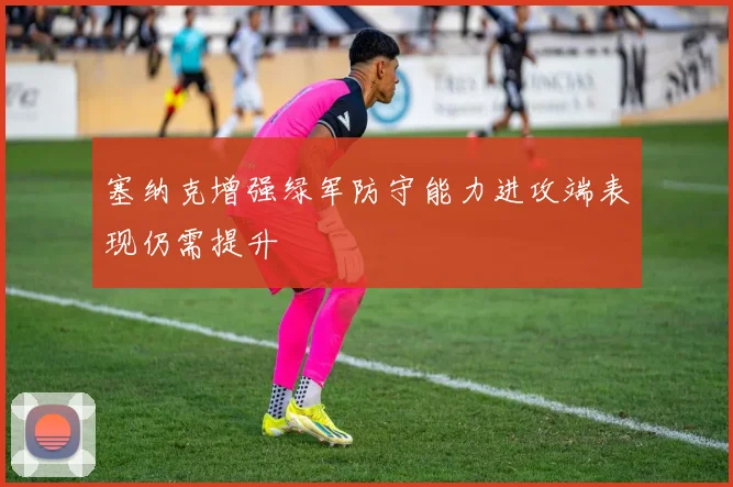 塞纳克增强绿军防守能力进攻端表现仍需提升